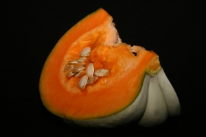 pumpkin seed